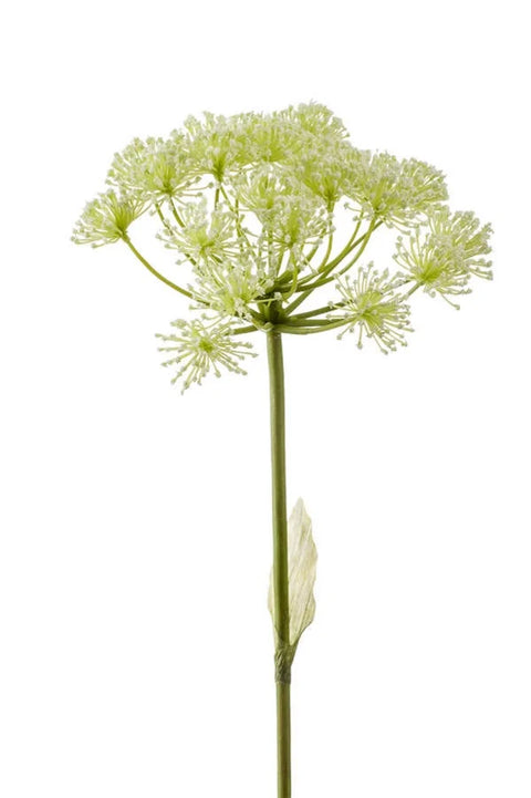 Kunstbloem Berenklauw 78 cm witte losse tak