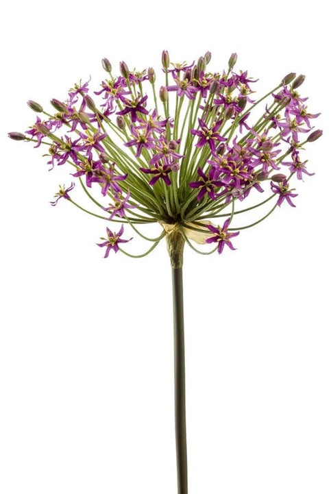 Kunstbloem Allium (sierui) tak 90 cm donkerpaars
